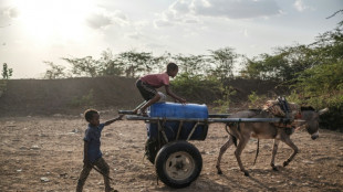 244 millions d'enfants ne vont toujours pas &agrave; l'&eacute;cole dans le monde