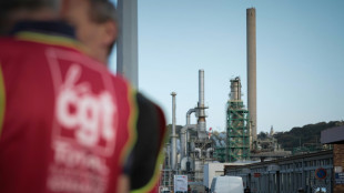 Apr&egrave;s le 49.3 sur les retraites, la gr&egrave;ve se durcit dans les raffineries