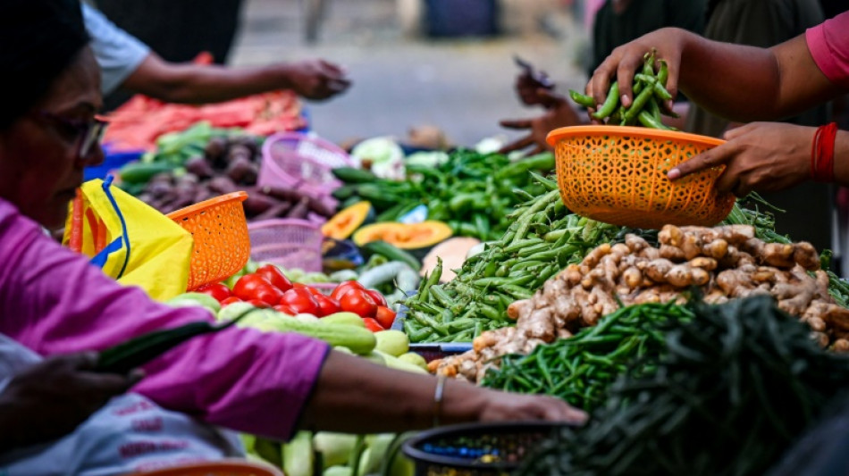 Los precios mundiales de los alimentos se mantienen estables en noviembre, seg&uacute;n la FAO