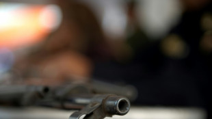 Prisi&oacute;n por criar h&iacute;brido de oveja para trofeos de caza en EEUU