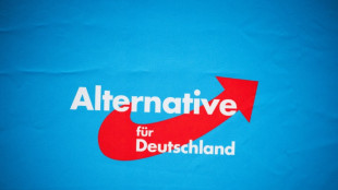 AfD darf nicht an B&uuml;rgerschaftswahl in Bremen teilnehmen