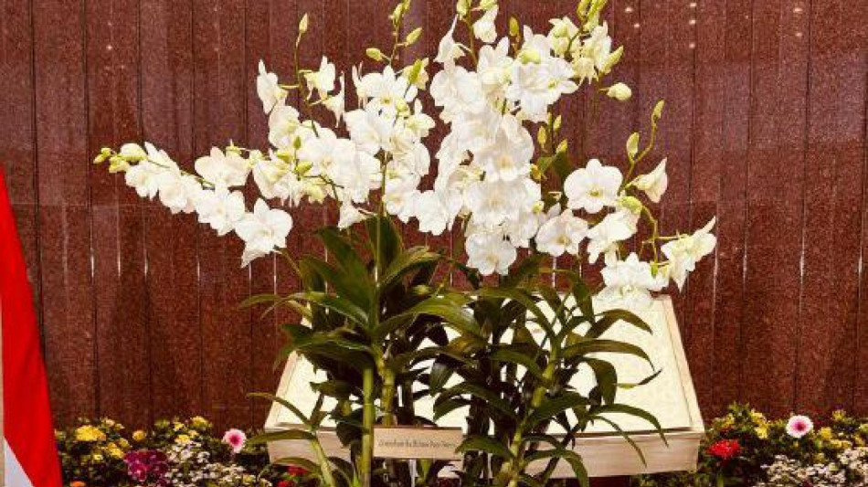 Il Papa a Singapore, intitolata a suo nome una nuova orchidea