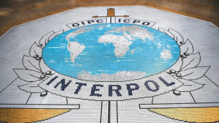 Moldova ex-minister charged in Interpol corruption case