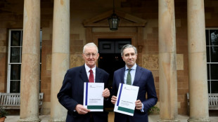 UK, Ireland announce new 'Troubles' legacy deal