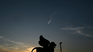 La mexicana Mayra Hermosillo retrata el matriarcado en el que creci&oacute; con "Vainilla"