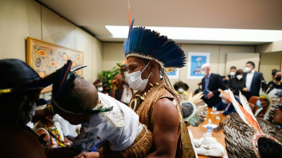 Caetano Veloso lidera en Brasilia acto contra "destrucci&oacute;n" medioambiental del bolsonarismo