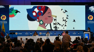 Frankreich stellt bei Konferenz in Santa Marta Fahrplan f&uuml;r Ausstieg aus Fossilen vor 