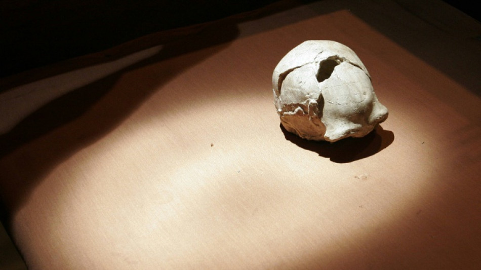 Un cráneo de un millón de años hallado en China podría reescribir la historia de la evolución humana