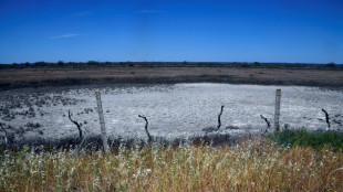 L'Espagne met plus de deux milliards d'euros pour lutter contre la s&eacute;cheresse