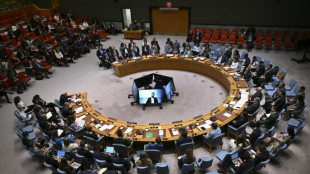 UN-Sicherheitsrat tagt zu russischen Drohnen in Luftraum von Nato-Mitglied Polen