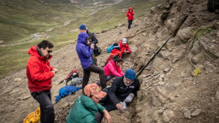 Chili: d&eacute;couverte de quatre types de dinosaures dont un Megaraptor