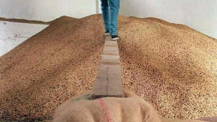 Il caff&egrave; conferma prezzi ai massimi storici, siccit&agrave; in Brasile