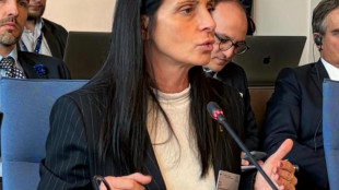 Gava al Consiglio d'Europa, 'sulla Terra dei Fuochi ok del Comitato al nostro piano'