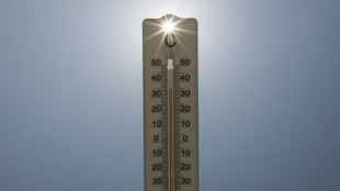 France: apr&egrave;s un &eacute;t&eacute; caniculaire, un appel &agrave; sortir de la&nbsp;"c&eacute;cit&eacute; collective"