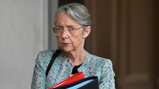 "Cent jours" de Macron: Borne expose la feuille de route mercredi &agrave; l'Elys&eacute;e