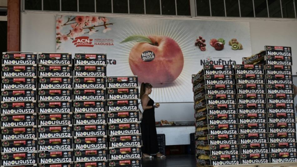 Fruit fly tests in Greece target invasive species threat