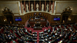Budget de l'Etat: le S&eacute;nat revote plusieurs mesures pour rectifier le tir