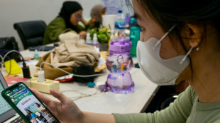 L&rsquo;Indon&eacute;sie interdit les transactions sur les r&eacute;seaux sociaux pour prot&eacute;ger son commerce local