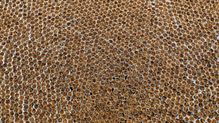 Illegale Zigarettenherstellung in Nordrhein-Westfalen: 19 Angeklagte vor Gericht