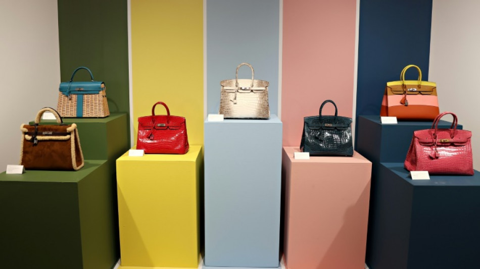 Herm&egrave;s poursuivi par des clients am&eacute;ricains incapables d'acheter ses sacs Birkin