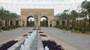 Ukraine: Russes et Am&eacute;ricains discutent &agrave; Ryad d'une possible tr&ecirc;ve 