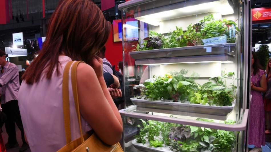De la cuisine &agrave; la plan&egrave;te Mars, l'agriculture en int&eacute;rieur cherche encore sa voie