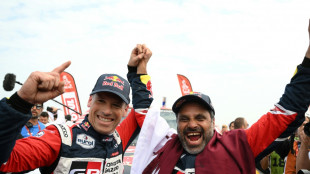 Al-Attiyah zum f&uuml;nften Mal Dakar-Sieger - Gottschalk Dritter