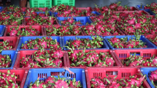 Vietnam: controlli pi&ugrave; severi Ue per import prodotti agricoli