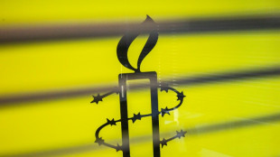 T&uuml;rkei wegen ungerechtfertigter Geldstrafe f&uuml;r Amnesty verurteilt