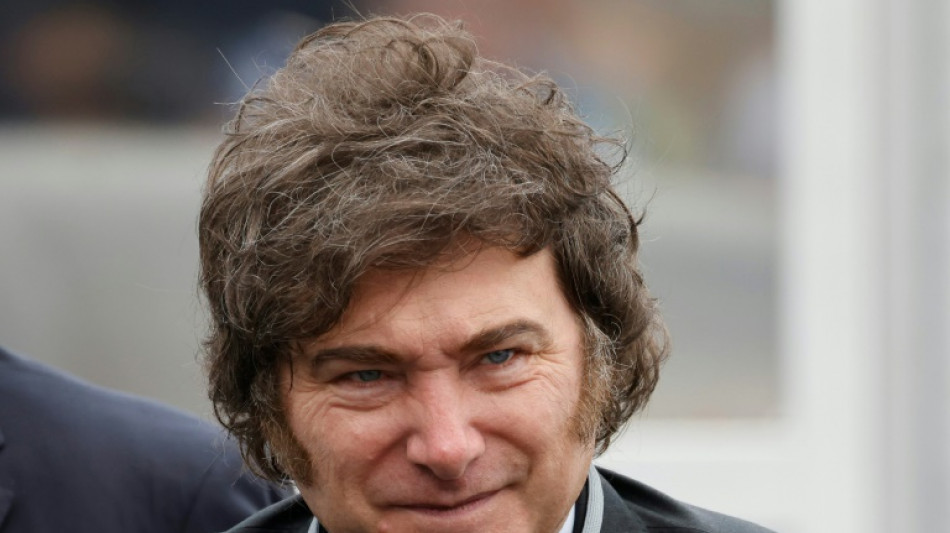 Argentina autoriza a civiles la compra de armas semiautom&aacute;ticas y de asalto