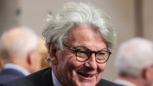 Musks Unterst&uuml;tzung f&uuml;r AfD l&ouml;st scharfe Kritik von Ex-EU-Kommissar Breton aus