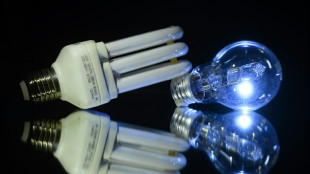 Electricit&eacute;: baisse attendue de 14% du tarif r&eacute;glement&eacute; des particuliers au 1er f&eacute;vrier 