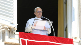 Le pape L&eacute;on XIV exprime sa solidarit&eacute; avec "la terre martyris&eacute;e" de Gaza 