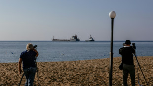 Ukraine: nouveaux chargements de c&eacute;r&eacute;ales, pol&eacute;mique entre Kiev et Amnesty 