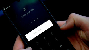 Betr&uuml;ger sollen mit gef&auml;lschten Emails Bankkunden um Millionen gebracht haben