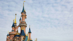 França acusa britânico por encenar casamento com menor de idade na Disney