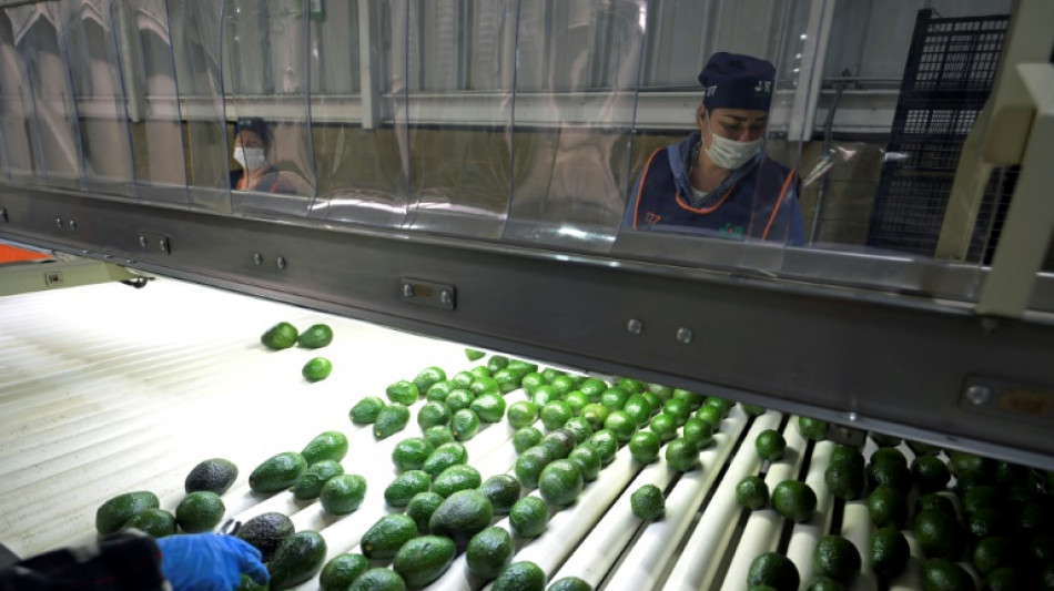 Malgr&eacute; Trump, les avocats mexicains tr&egrave;s demand&eacute;s aux Etats-Unis pour le Super Bowl