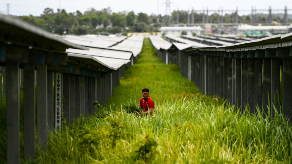 Vietnam ups wind, solar targets as energy demand soars
