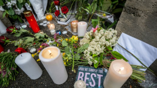 En Suisse, Tina Turner "Simply the best" dans les coeurs et les m&eacute;moires 