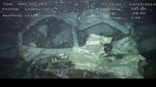 El avi&oacute;n accidentado en el que muri&oacute; el futbolista argentino Emiliano Sala "parec&iacute;a "peligroso", seg&uacute;n el piloto