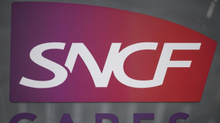 LGV Sud-Est: retards apr&egrave;s un vol de c&acirc;bles, retour &agrave; la normale vers 18h