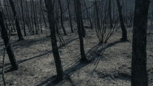 Firefighters bring huge blaze in France under control