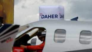 Daher mise sur les thermoplastiques pour d&eacute;carboner l'avion

