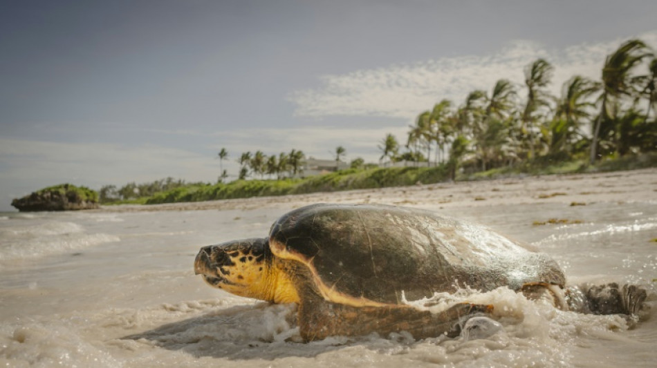 L&iacute;deres mundiales se re&uacute;nen en Niza para abordar las amenazas sobre los oc&eacute;anos