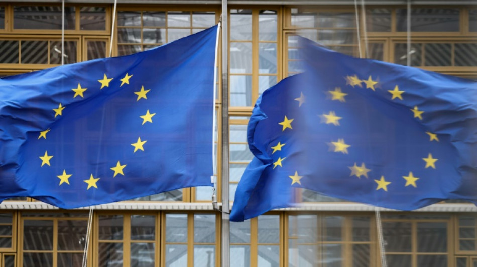 La UE se aproxima a un acuerdo sobre reglamentaci&oacute;n de los servicios digitales