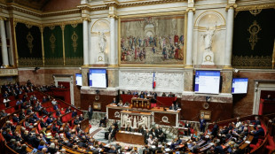 Budget : l'Assembl&eacute;e adopte la "loi sp&eacute;ciale", et se projette sur les d&eacute;bats de janvier