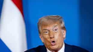 Trump, 'Spagna terribile, le faremo pagare dazi doppi'