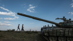 Ethiopie: la communaut&eacute; internationale appelle &agrave; saisir "l'opportunit&eacute;" de paix