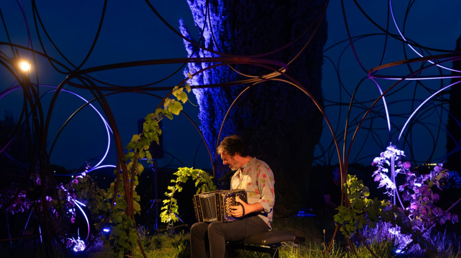 Tra filari di viti di Bonaventura e il suo suggestivo bandoneon