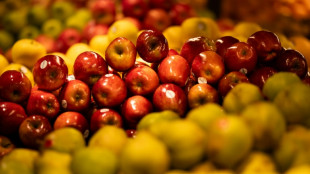 Apfelernte 2024 unterdurchschnittlich - aber weniger Einbu&szlig;en als bef&uuml;rchtet